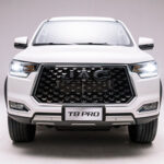 Parrilla frontal cromada de gran tamaño